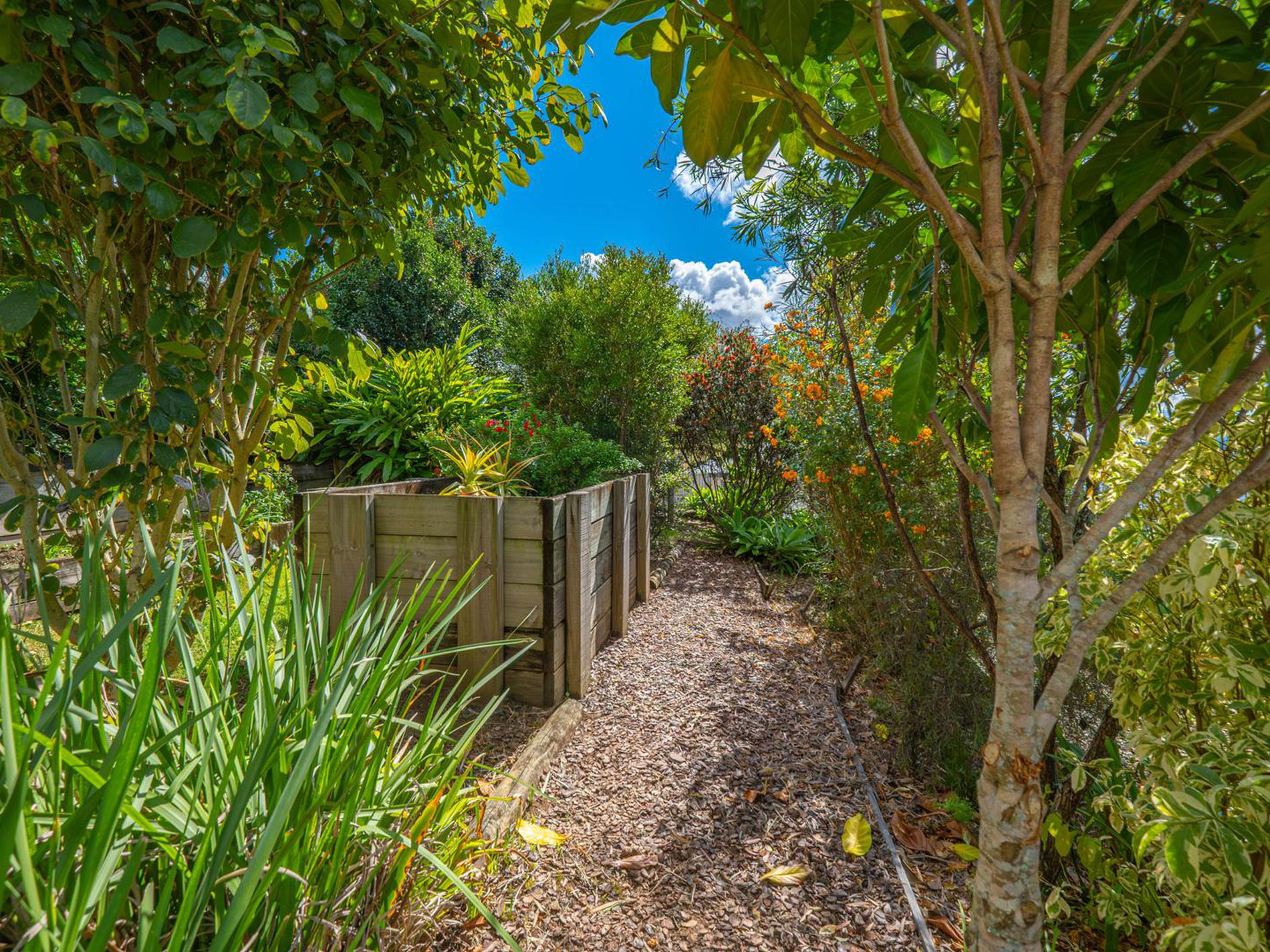40 George Street, Kenilworth
