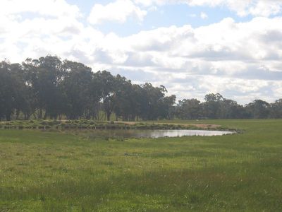 LOT 7 KILLEENS LANE, Mia Mia