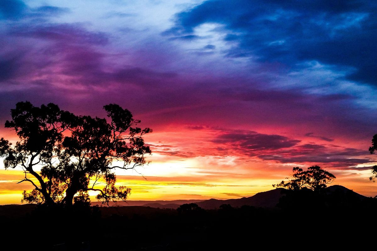 29 Kareen Court, Mansfield