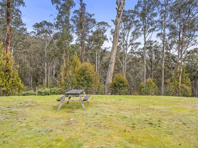 496 Judds Creek Road, Judbury