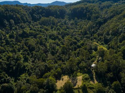 399 Bishops Creek Road, Coffee Camp