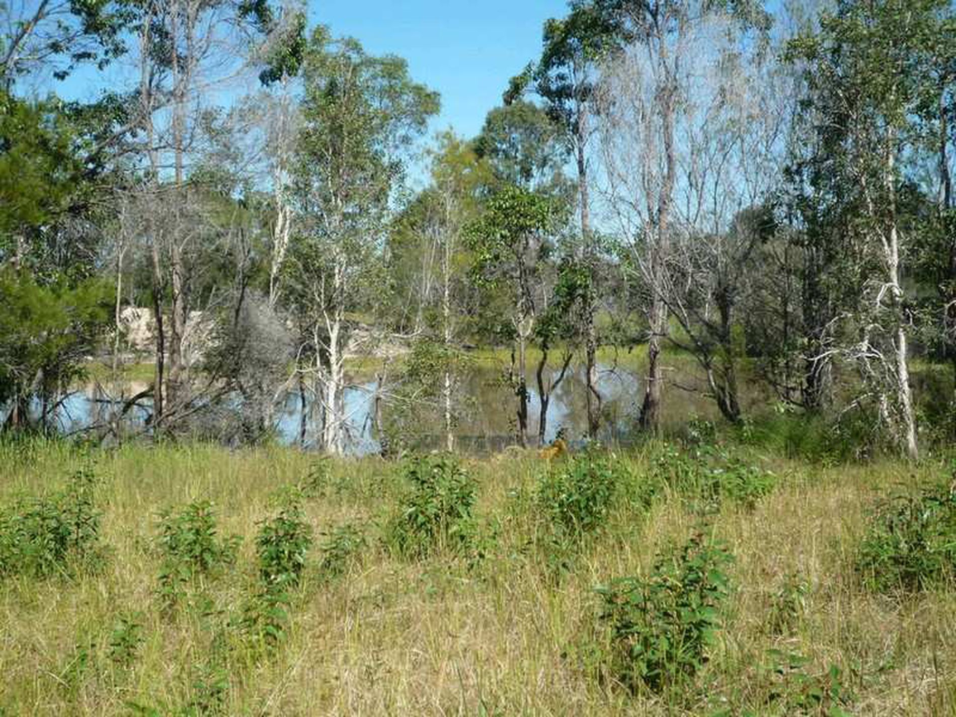 40 Olivers Road, Goodwood