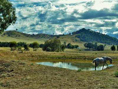 347 Welumba Creek Road, Greg Greg