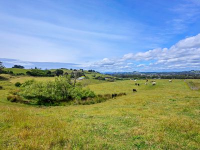115 Table Cape Road, Wynyard
