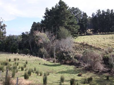 101 Kermandie River Road, Geeveston