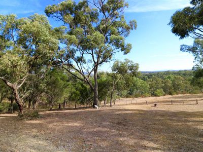 45 Jordan St, Seymour