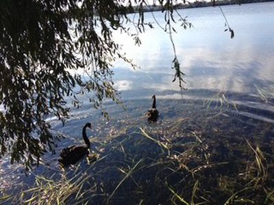 41 Lake View Road, Takapuna