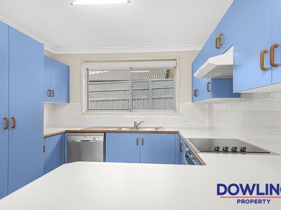 11 Tupelo Street, Medowie