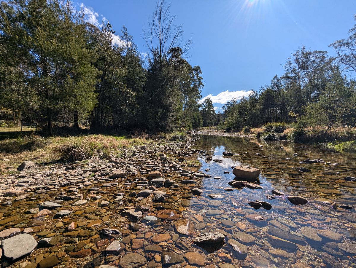 115 Gulph Creek Road, Nerrigundah