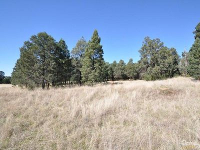 20R 20R Dunedoo Road (Lot 131), Dubbo
