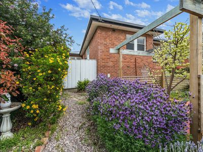 54 Katoomba Crescent, Rosetta