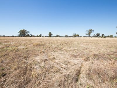 91 & 92 Caledonia Street, Eumungerie