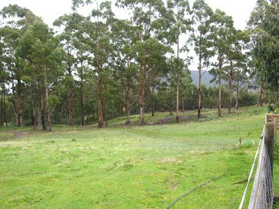 211 Middle Road, Pelverata