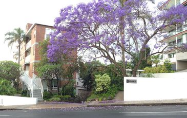 3 / 8 Wylde St, Potts Point