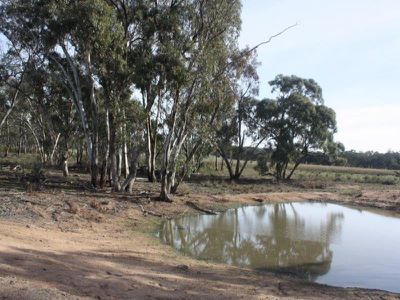 199 Gamble Creek Road, Coolah