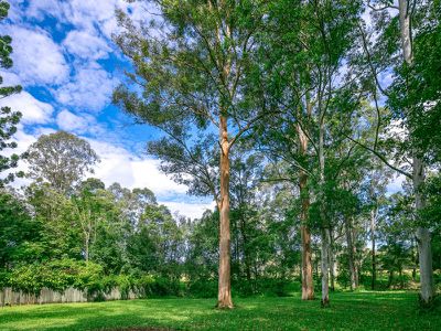 121 Neill Road, Mooloolah Valley