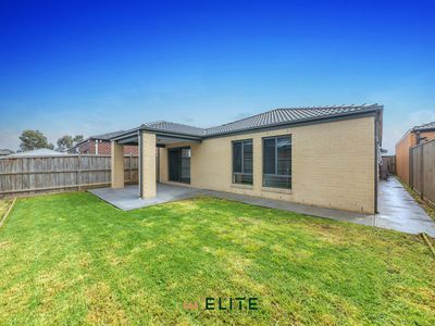 36 Mapleshade Avenue, Clyde North