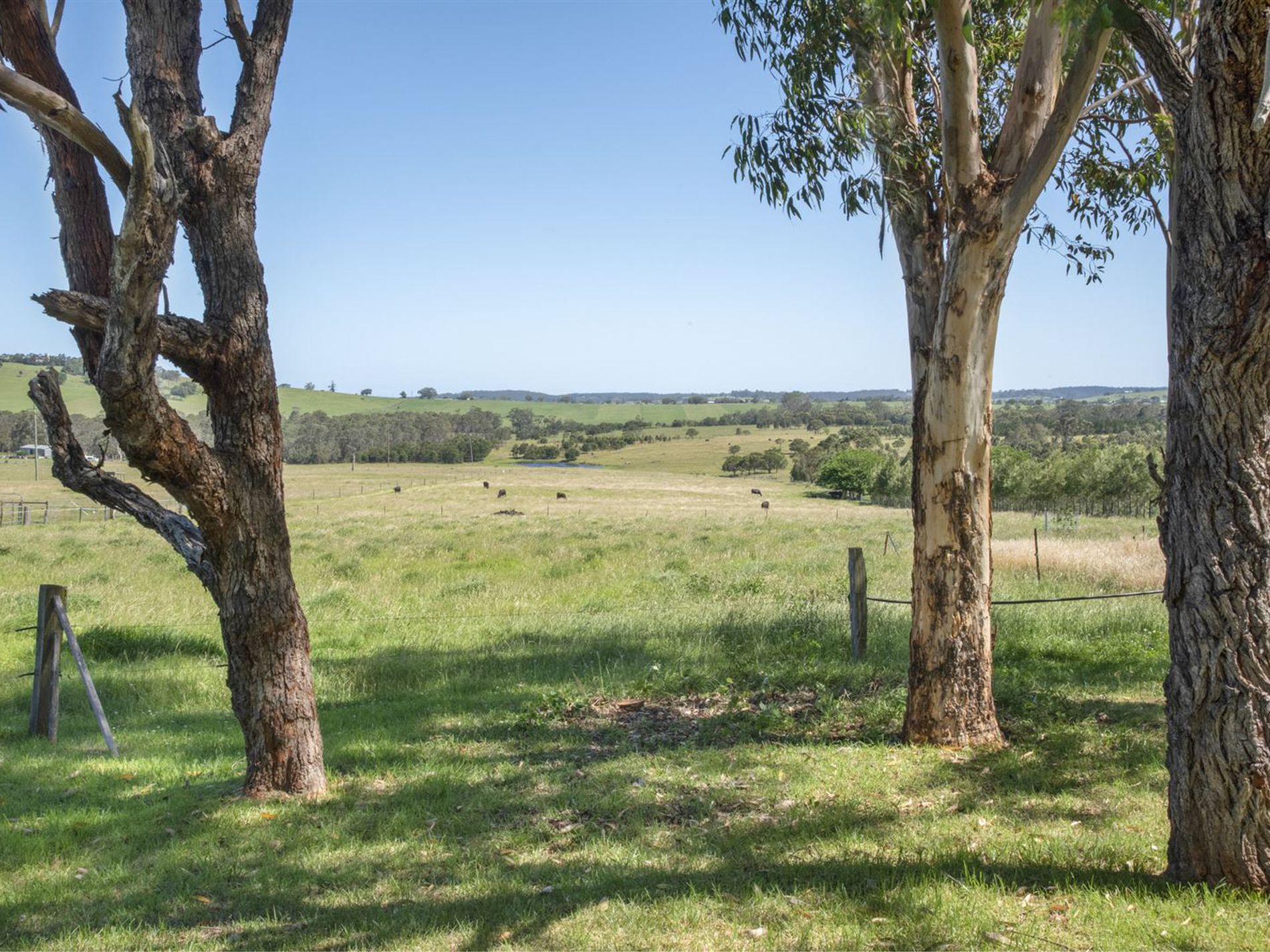 45 Little Forest Road, Little Forest