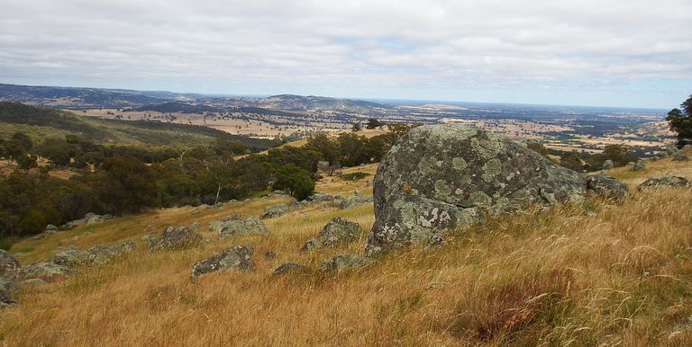 1209 Euroa Strathbogie Road Kelvin View, Euroa