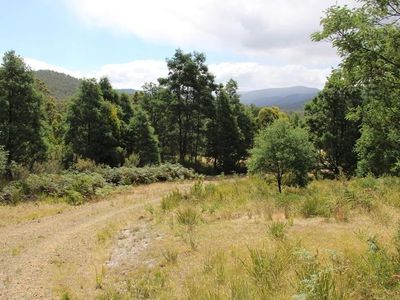 547 She Oak Road, Judbury