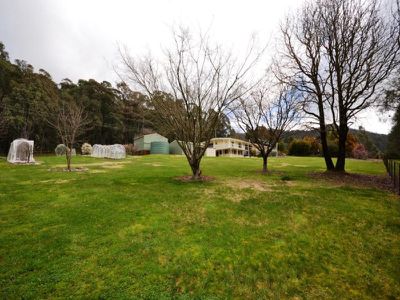285 Simmonds Creek Road , Tawonga South