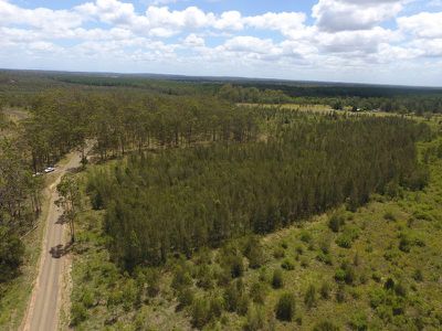 2 / 919 Clearfield Road, Myrtle Creek