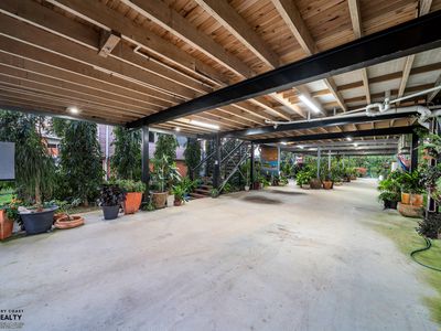 11A JODRELL STREET, Webb