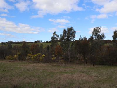260  Dons Lane, Glenhope East