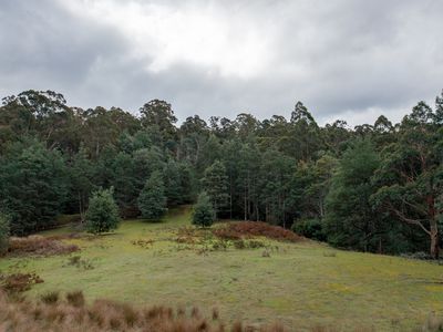 Lot 1 , Garden Island Creek Road , Garden Island Creek