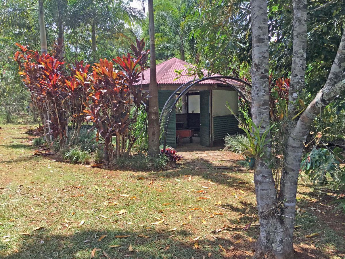 Malanda