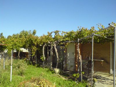33 Simper Crescent, White Gum Valley