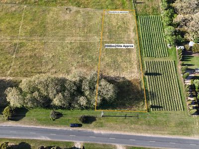 49 Main Street, Eldorado