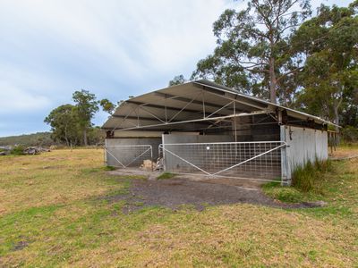 202 Dingo Flat Road, Tingledale