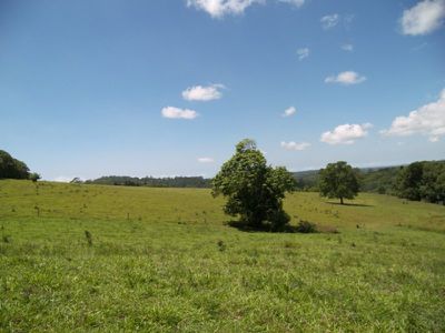 349 Goonengerry Road, Goonengerry