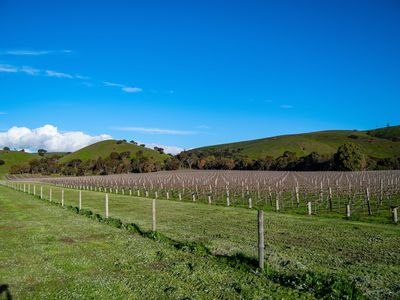 4 / 55 The Vines Drive, Normanville