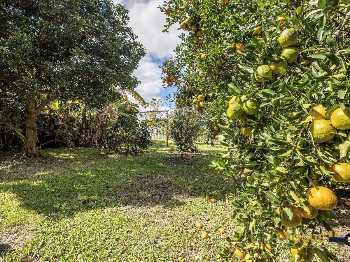 26 Austin Road, Victoria Plains