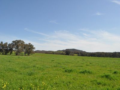 412 Vokins Creek Road, Little Billabong