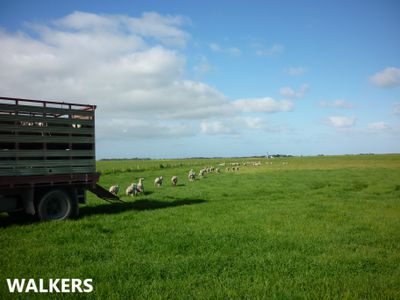 581 Mount Hope Road, Millicent