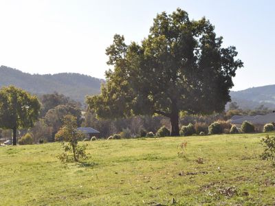 26 Pannach Lane, Hamilton Valley