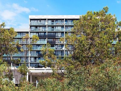 221 / 20 Shamrock Street, Abbotsford