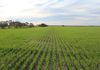 Lot 566 Coolgardie Esperance Highway, Salmon Gums