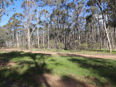 CA 68  CA 68  Twin Rivers Road, Eppalock