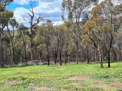 165 GHIN GHIN ROAD, Whiteheads Creek