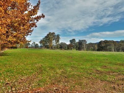Lot 3 - Osbornes Flat Road, Yackandandah