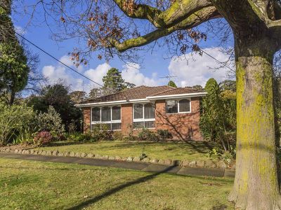 1 / 55 Park Rd, Surrey Hills