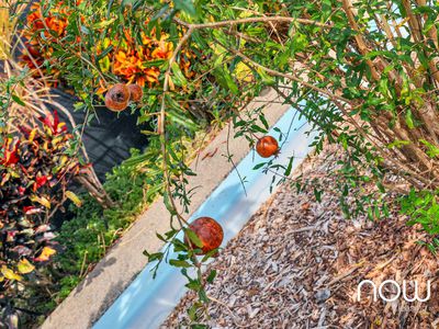 1 Ridgehaven Circuit, Leanyer