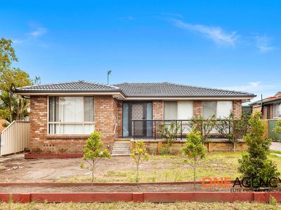 8 Fir Crescent, Albion Park Rail