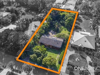 73 Cintra St, Durack