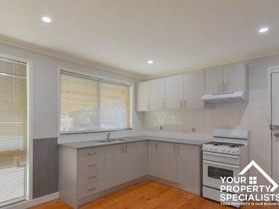 29 McCrae Drive, Camden South