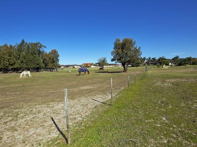 24 Spoonbill Place, Albion Park Rail